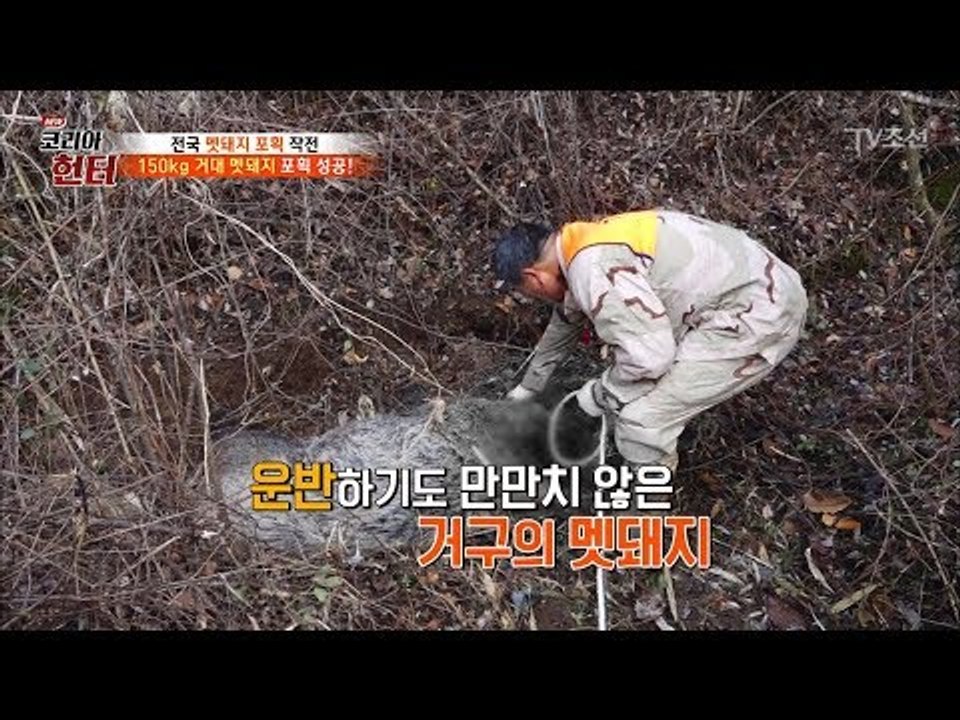잡은 멧돼지는 들고 가지 않고 차를 이용하는 헌터! [뉴 코리아 헌터] 79회 201...