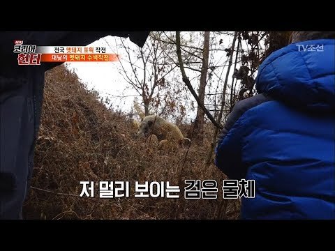 제작진과 헌터 사이에서 대치중인 멧돼지 가족! [뉴 코리아 헌터] 79회 20171204