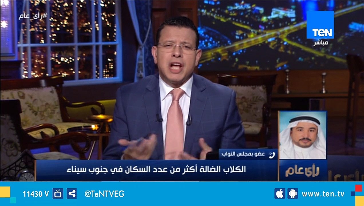 النائب غريب حسان: مكافأة صيد الكلاب الضالة كانت...