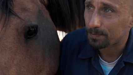 „Mustang“ - das wilde Pferd als Therapeut