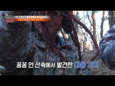 산삼 안 부러운 붉은 귀물 ‘지치’ 발견!! [뉴 코리아 헌터] 83회 20180101
