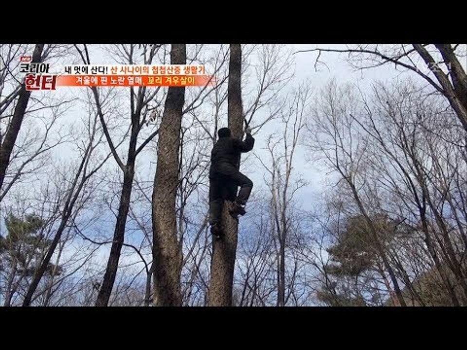 황금빛 열매를 얻기 위해 나무 위로 쭉쭉! [뉴 코리아 헌터] 81회 20171218