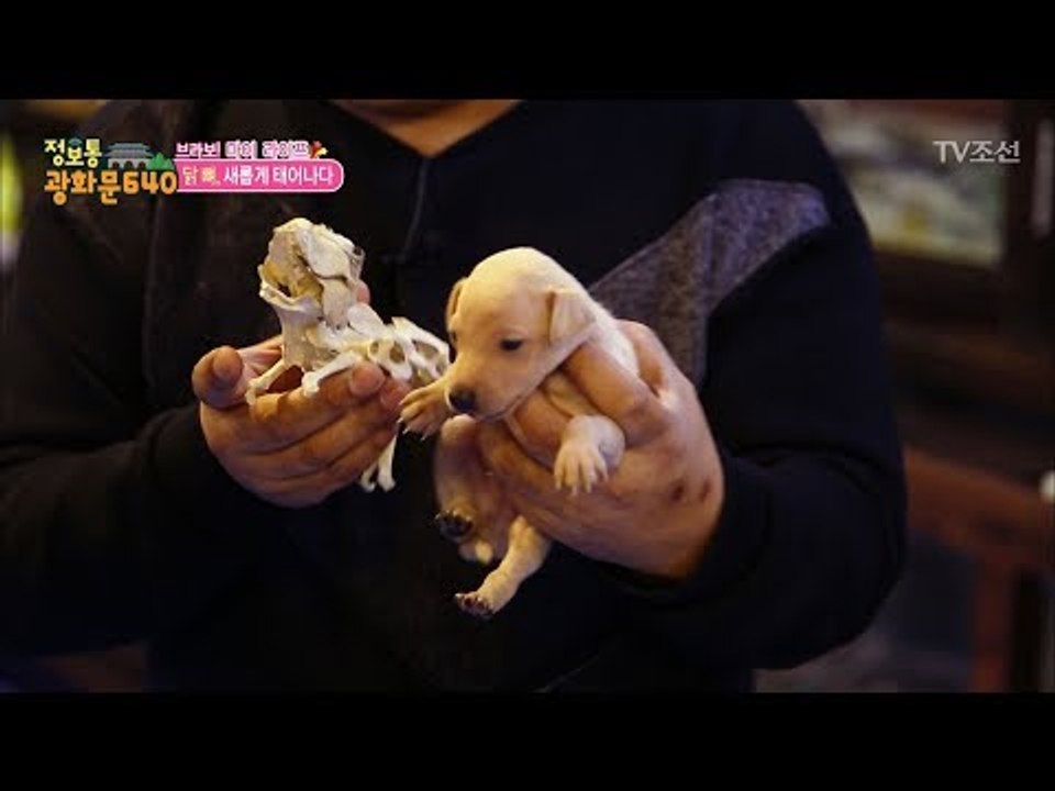 애견 까페를 차린 형에게 주는 닭 뼈 예술가의 특별한 선물! [정보통 광화문 640]...
