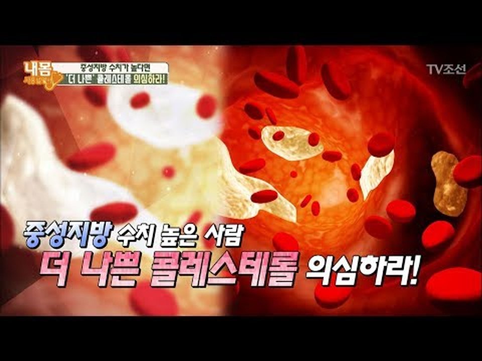 중성지방 수치가 높은 사람, ‘더 나쁜’ 콜레스테롤 의심하라! [내 몸 사용설명서]...