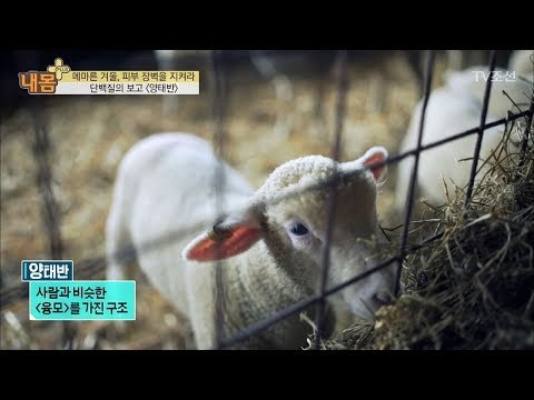 단백질이 풍부한 ‘양태반’이 피부에 좋은 이유 [내 몸 플러스] 84회 20171217
