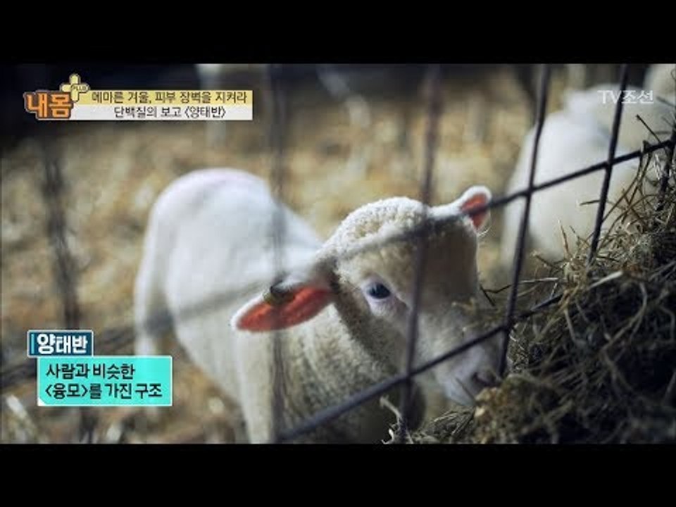 단백질이 풍부한 ‘양태반’이 피부에 좋은 이유 [내 몸 플러스] 84회 20171217