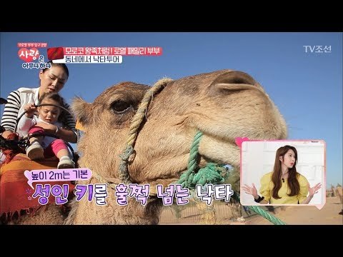 방과 후에 낙타 타고 노는 건 기본 [사랑은 아무나 하나] 15회 20171216