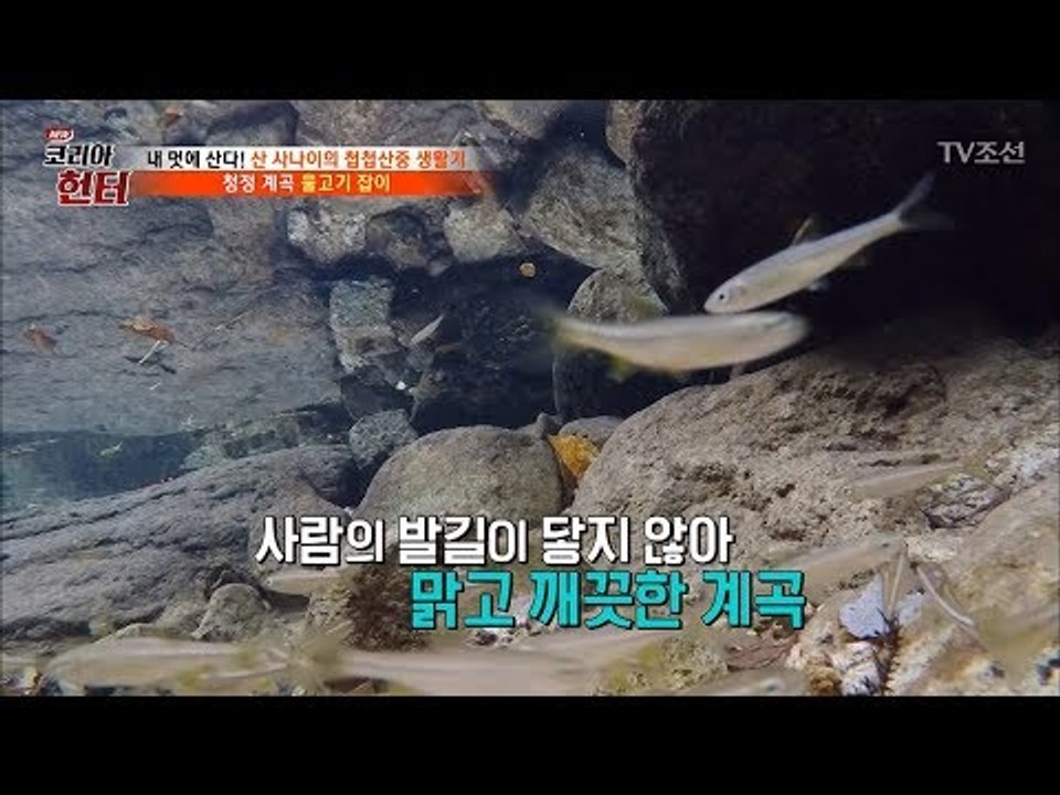 아름다운 1급 천에서 물고기 좀 잡아볼까? [뉴 코리아 헌터] 81회 20171218