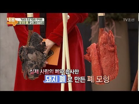 끔찍한 망가진 폐의 모습! 직접 만져보면? [내 몸 사용설명서] 184회 20171222