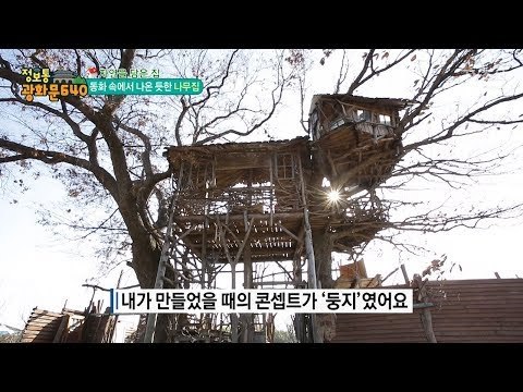 나무 위에 집이 있다? 둥지 같은 나무집 [정보통 광화문 640] 96회 20171220