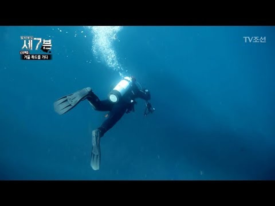 최근 변해간다는 독도의 해양상태, 어떻게 변한 걸까?! [탐사보도 세븐 20회] 20...