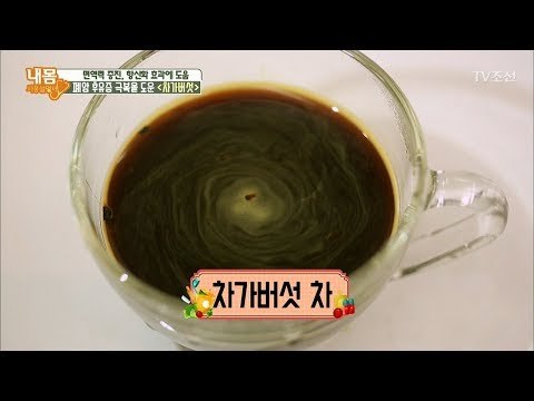 폐암 극복 ‘차가버섯’ 먹는 방법은? [내 몸 사용설명서] 184회 20171222