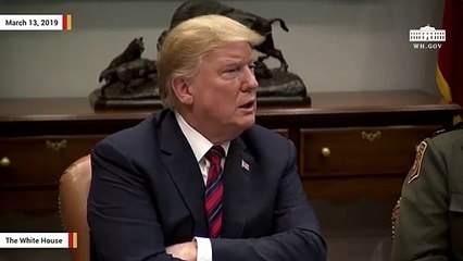 Video herunterladen: Trump Again Claims 'No Collusion,' Blames Democrats For Russia 'Hoax'