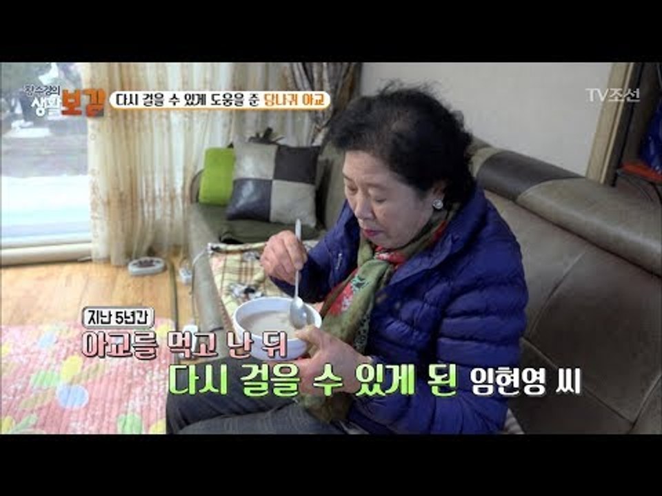 엄청난 효능! 당나귀 아교를 먹고 다시 걷다! [황수경의 생활보감] 38회 20171223