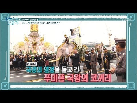 국왕의 영정을 들고 가는 태국의 코끼리 [배낭 속에 인문학] 31회 20180114