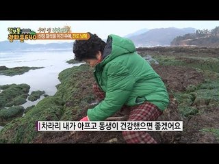 아픈 동생을 위해 아침 바다로 나온 남매의 정성 [정보통 광화문 640] 100회 20171227