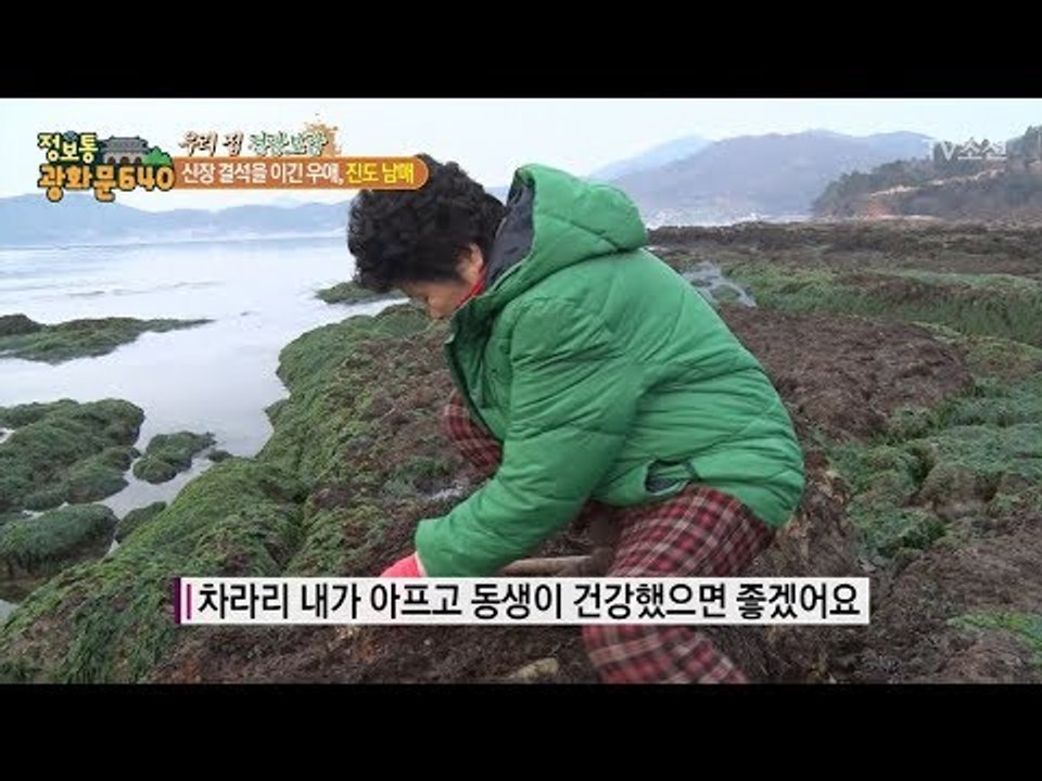 아픈 동생을 위해 아침 바다로 나온 남매의 정성 [정보통 광화문 640] 100회 2...
