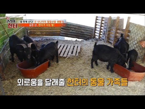 동물농장 수준! 헌터와 동물 가족들! [뉴 코리아 헌터] 81회 20171218
