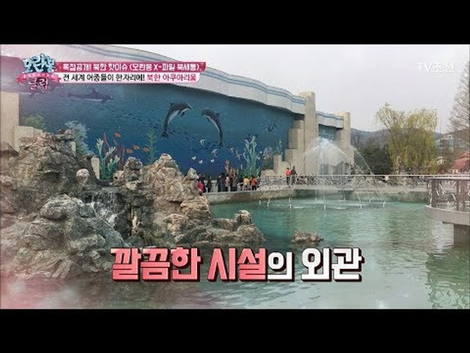 [최초공개] 북한의 아쿠아리움 영상 대공개! [모란봉 클럽] 118회 20171219