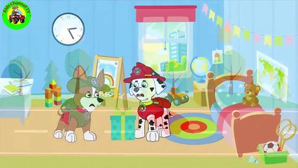 PAW PATROL Episodes English Cartoon Animation Compilation For Kids