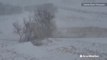Heavy snow and howling winds as blizzard sweeps through Colorado