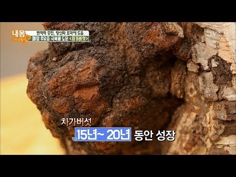 폐암 후유증 극복! ‘차가버섯’ [내 몸 사용설명서] 184회 20171222