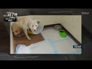 방송 후, 동물병원의 달라진 위생상태! [탐사보도 세븐 19회] 20171227