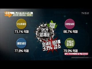 암세포 죽여주는 슈퍼 식물 ‘레몬밤’ [내 몸 사용설명서] 188회 20180119