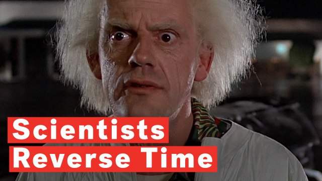 Scientists Have Reversed Time In A Quantum Computer