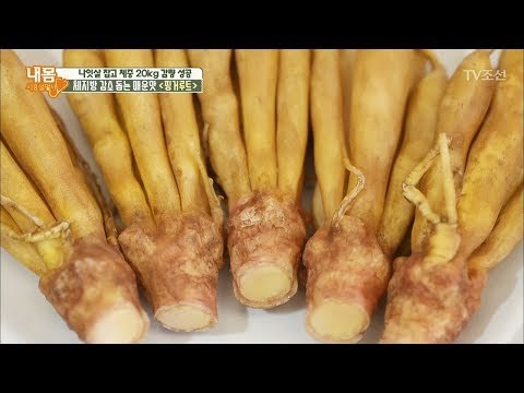 핑거루트로 챙기는 체지방 감소와 피부미용! [내 몸 사용설명서] 186회 20180105