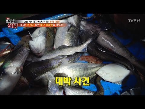 각종 물고기 속 독보적인 존재감! 대물 ‘대구’ [뉴 코리아 헌터] 82회 20171225