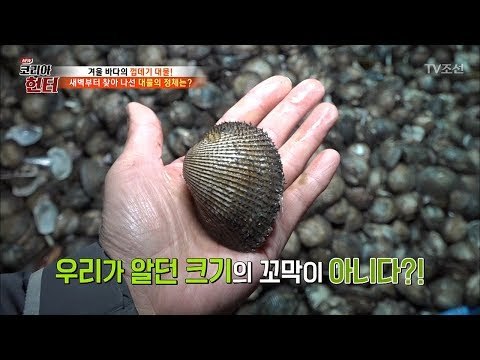 새벽부터 찾아 나섰다! ‘이 대물을 위해’ [뉴 코리아 헌터] 84회 20180108