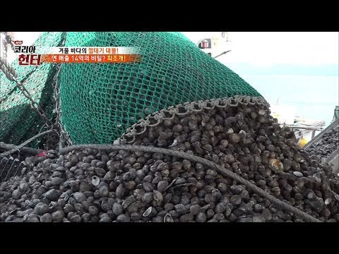 쏟아지는 보물 ‘피조개’ 연 매출 14억! [뉴 코리아 헌터] 84회 20180108