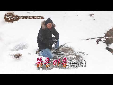 곡성 땅의 붉은 마음_박종인의 땅의 역사 35회 예고