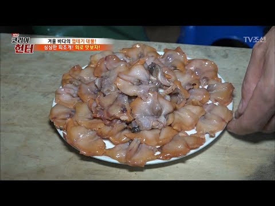 그냥 조개가 아니다! 내장을 뺀 달콤한 피조개 회! [뉴 코리아 헌터] 84회 201...