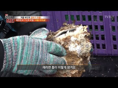 이건 그냥 돌인데..? 속에 바다의 보물이?! [뉴 코리아 헌터] 84회 20180108