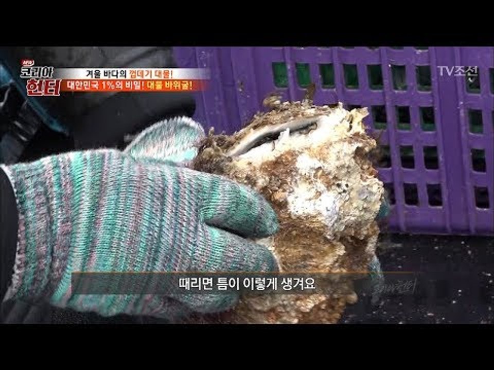 이건 그냥 돌인데..? 속에 바다의 보물이?! [뉴 코리아 헌터] 84회 20180108
