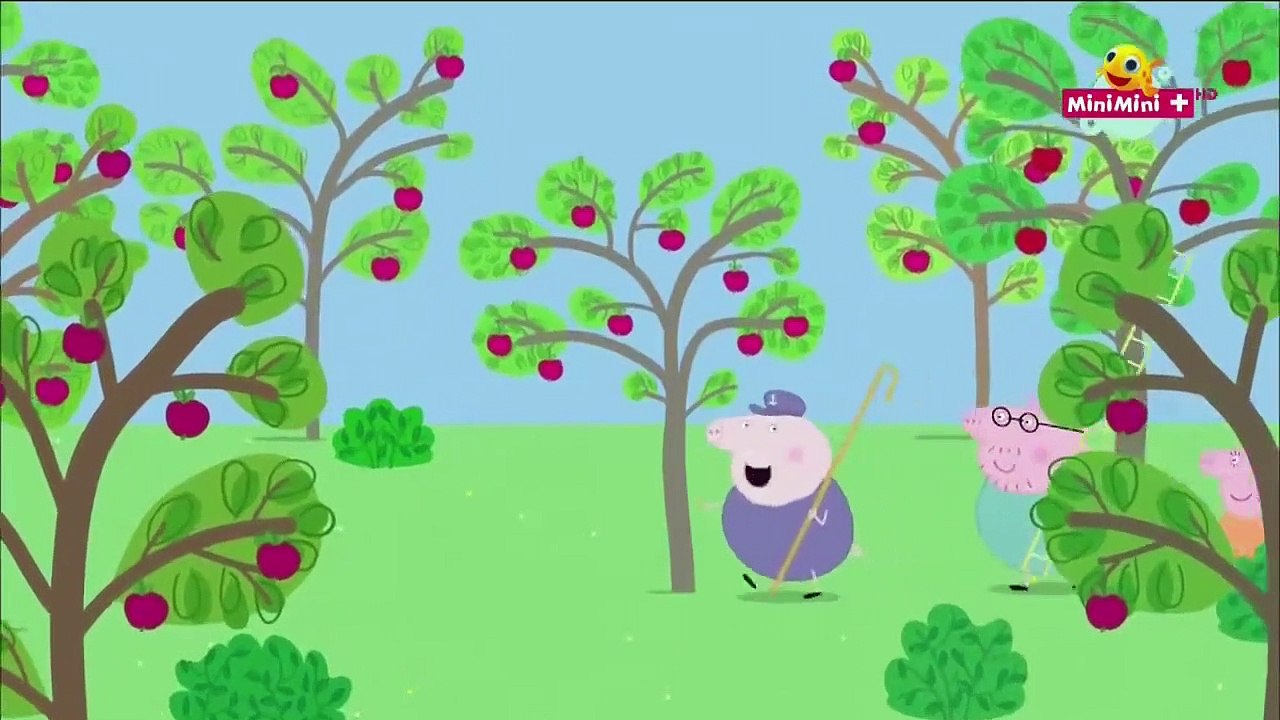 Świnka Peppa Po Polsku Nowe Odcinki | Świnka Peppa Kompilacja Po Polsku #41