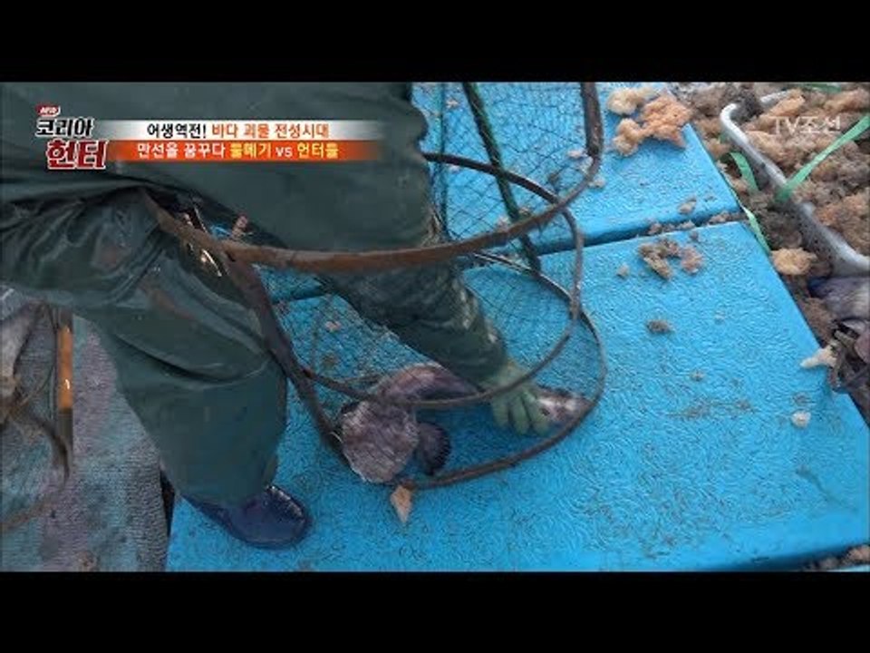 새로운 조업장에서 다시금 잡히기 시작한 물메기! [뉴 코리아 헌터] 86회 20180122