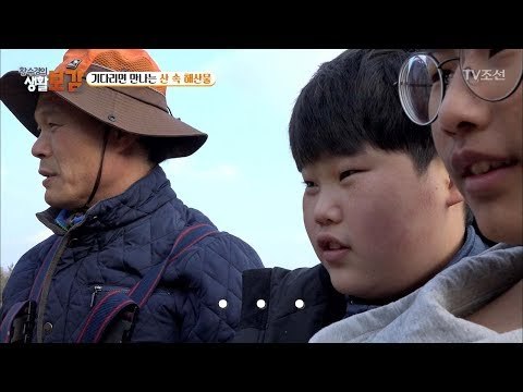 마냥 기다리면 만나는 산 속 해산물은 무엇? [황수경의 생활보감] 41회 20180113