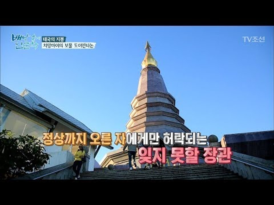 아무나 올 수 없는(?) 태국의 가장 높은 산, 도이인타논 [배낭 속에 인문학] 31...