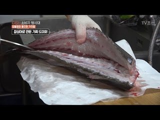 ‘점성어’가 ‘도미회’로 둔갑하는 과정 [CSI 소비자 탐사대 8회] 20180121