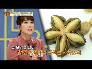 동물성 NO! 식물성 오메가3 ‘사차인치’ [내 몸 플러스] 88회 20180121