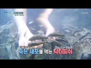 국립공원 계곡에서 닥터피쉬를 만나다! [배낭 속에 인문학] 32회 20180121