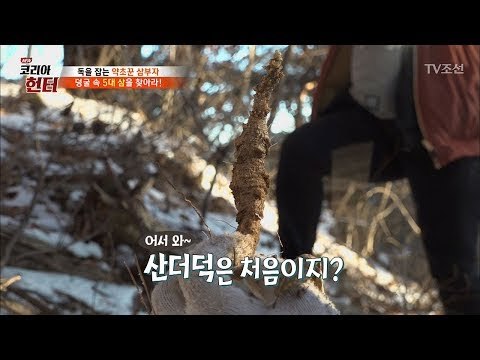 한파를 뚫고 자란 산더덕! 그 맛은? [뉴 코리아 헌터] 88회 20180205
