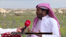 الأمير محمد بن فيصل: لهذه الأسباب أنزل إلى أرض الملعب  والهلال والاتحاد قطبا الكرة السعودية 