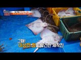 흑산도 홍어를 잡는 특별한 방법이 있다? [뉴 코리아 헌터] 87회 20180129