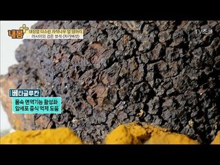 검은 보석 ‘차가버섯’ 대장암을 다스리다! [내 몸 플러스] 89회 20180204