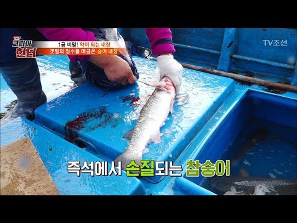 숭어회보다 더 맛있다? 즉석 손질한 숭어 내장의 맛은? [뉴 코리아 헌터] 87회 2...