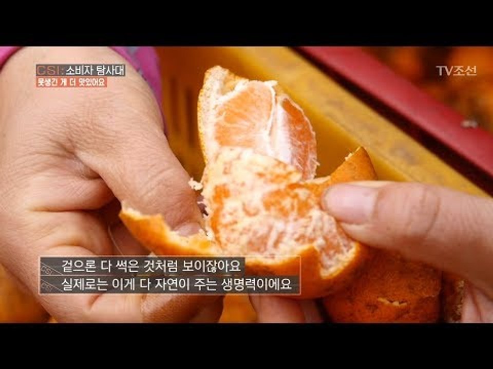 썩은 감귤, 껍질을 까보니 믿을 수 없는 모습이! [CSI 소비자 탐사대 14회] 2...